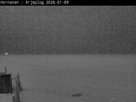 Live Webcam Hornavan